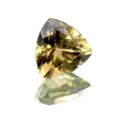 Green Tourmaline Trillion