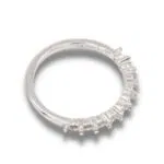 Ten Stone Band Pre-notched Ring Mounting