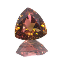 Bi Color Melon Orange Tourmaline Trillion T-2104