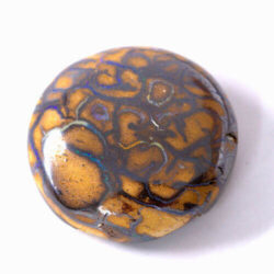 Australian Yowah Opal Nut 12.73ct