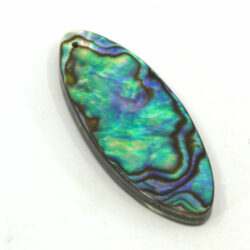 Abalone Elongated Ovals