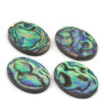 Abalone Ovals 4 Pack