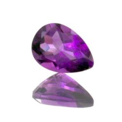 African Amethyst Pears