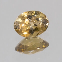 Golden Green Tourmaline 6.9x5.2mm Oval 0.90cts